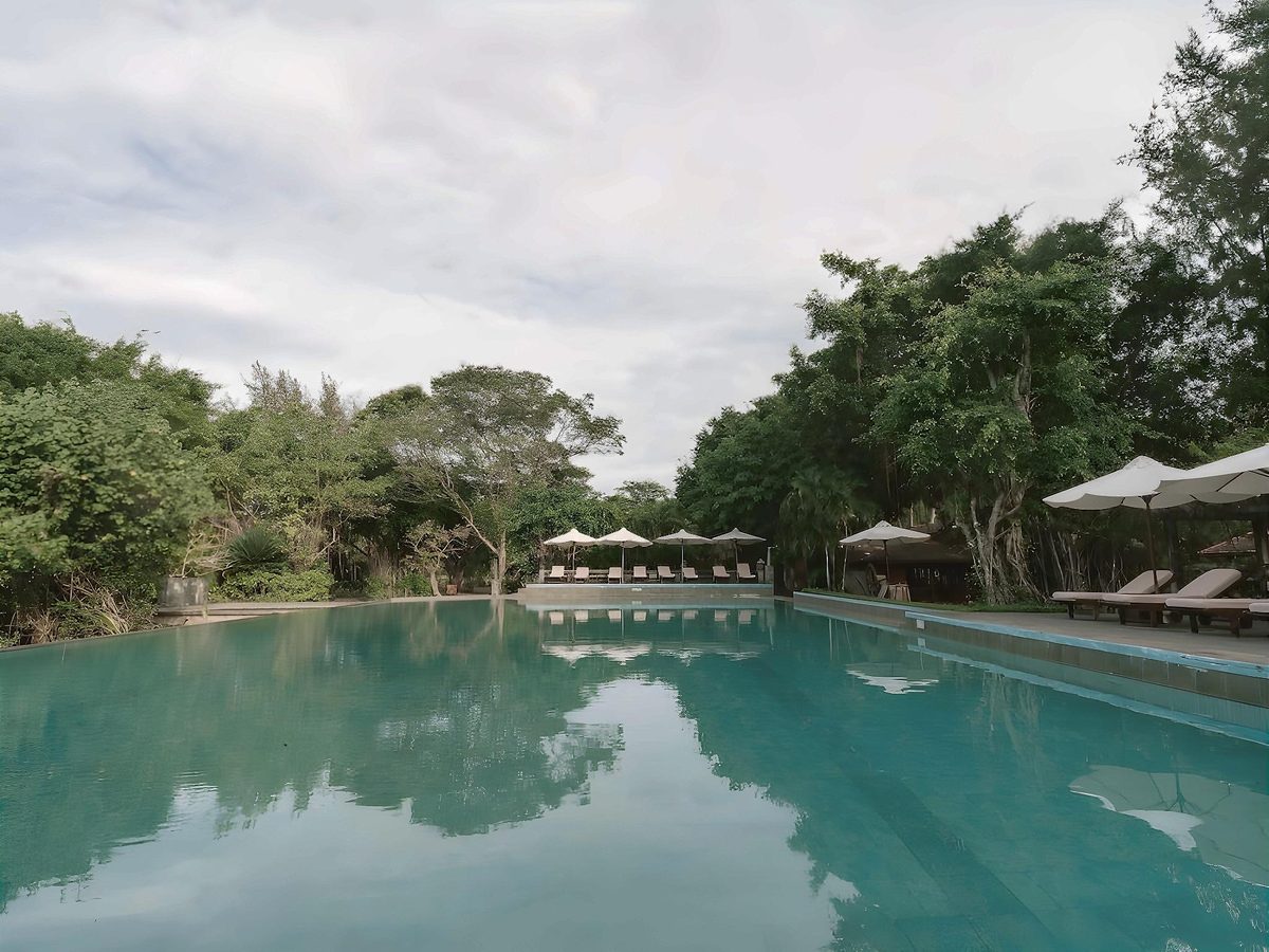 Long straight pool reflecting tall casuarina trees, white umbrellas and loungers along the far edge