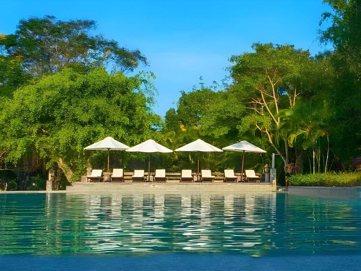 Wide pool reflecting a blue sky, white umbrellas and loungers in a row under tall trees on the far side