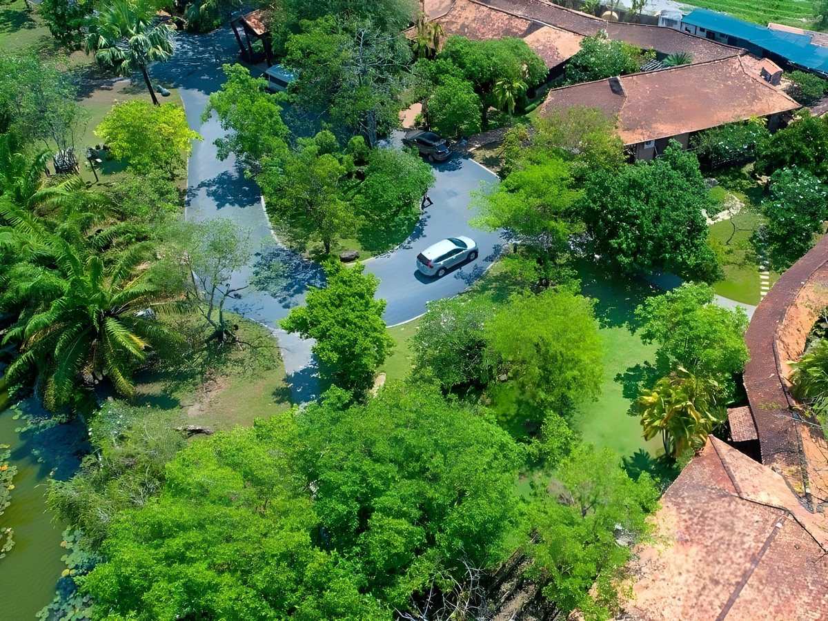 Aerial view of a narrow road winding through dense green trees between red-tiled roofs and a pond