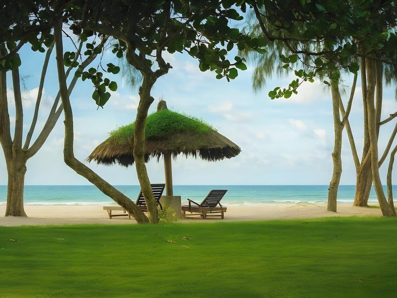 Thatched sun umbrella and two wooden loungers on a lawn at the edge of the sand, casuarina trees and calm sea behind